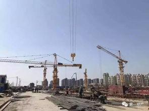 泗涇房屋建設(shè)工程施工新動態(tài) 規(guī)劃藍(lán)圖邁向現(xiàn)實(shí)